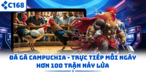 Đá Gà Campuchia – Trực Tiếp Mỗi Ngày Hơn 100 Trận Nảy Lửa